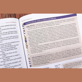 Harper Collins Adult Books NIV Application Bible