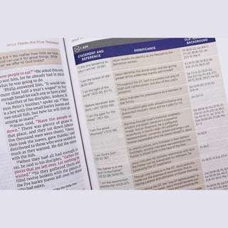 Harper Collins Adult Books NIV Application Bible