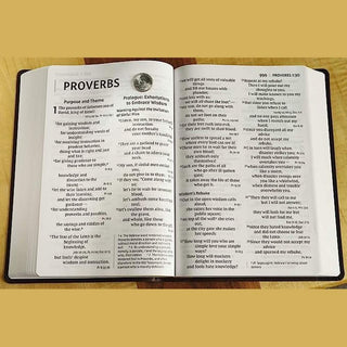 NIV Super Giant Print Reference Bible open to Proverbs showing large Comfort Print text and two-column layout