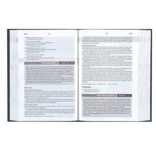 Christian Art Gifts Adult Books NLT Devotional Bible for Men