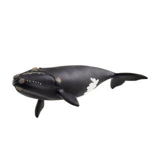 Schleich North Atlantic Right Whale figurine with realistic callosities and white belly patch