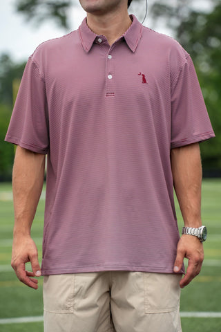 Man wearing Local Boy Outfitters Palms Polo in maroon and light gray fine stripes
