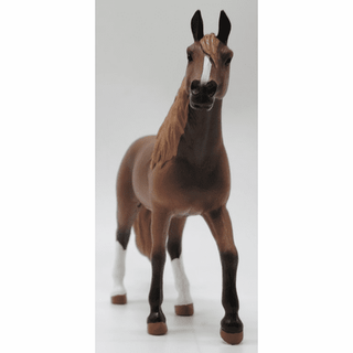 Paso Peruano Mare