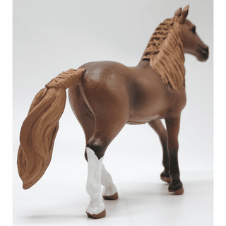 Paso Peruano Mare
