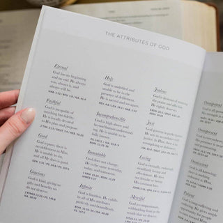 The Daily Grace Co Adult Books Peace for the Anxious Heart Study