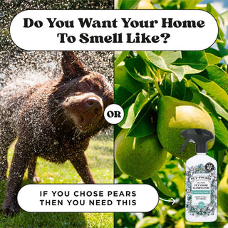 Dog shaking off water outdoors compared to fresh pears with Pet-Pourri spray bottle