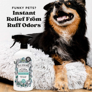 Pet-Pourri air fabric odor eliminator bottle beside tricolor dog on fluffy white pet bed