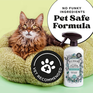 White Pet-Pourri odor eliminator spray next to brown tabby cat in olive green pet bed