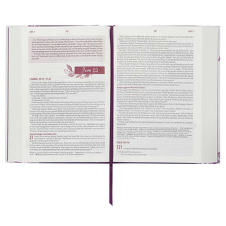 Open Bible page displaying 2 Samuel narrative text with highlighted Acts 1:8 block quote box