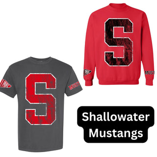 2026 YPIP Varsity Spirit Top PREORDER