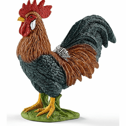 Rooster