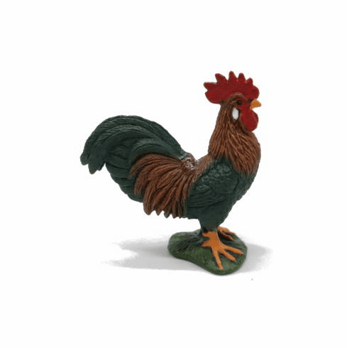 Rooster