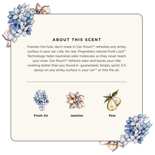 Car-Pourri Fresh Air Car Scent