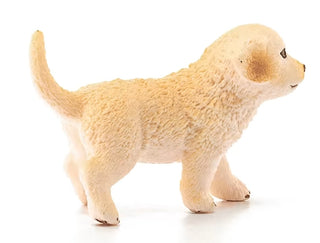 Angled Side Of Golden Retriever 