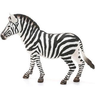 Zebra Female