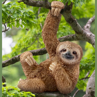 Sloth Toy Hanging On Branch 