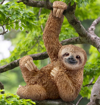 Sloth Toy Hanging On Branch 