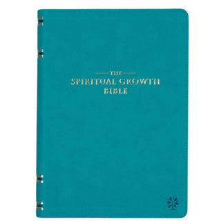 Christian Art Gifts Adult Books Spiritual Growth Bible