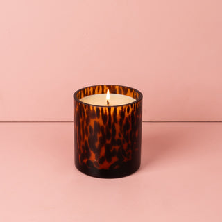 Lit Bridgewater candle in tortoiseshell glass vessel on pink background