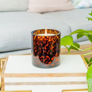 Bridgewater tortoiseshell glass candle burning on a decorative tray beside a green plant.