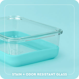 Swig large glass food storage container with mint teal silicone base and clear glass lid, stain and odor resistant