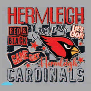 Spirit to a Tee Unisex Tees Small / Cardinals Team Spirit Tee