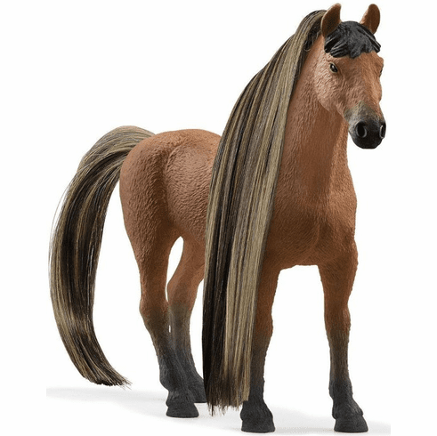 Beauty Horse Achal Tekkiner Stallion