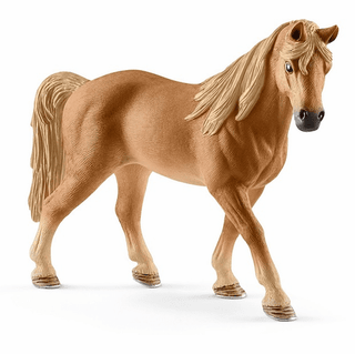 Tennessee Walker Mare