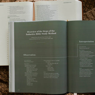 The Daily Grace Co Adult Books The Bible Study Handbook