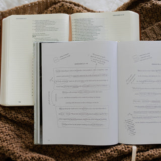 The Daily Grace Co Adult Books The Bible Study Handbook