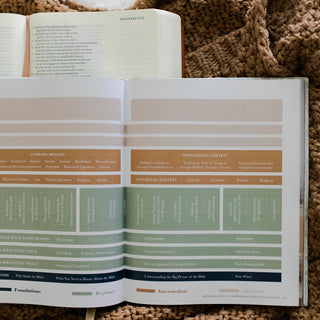 The Daily Grace Co Adult Books The Bible Study Handbook