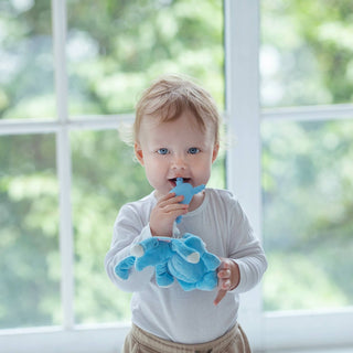 The Teething Egg Baby Goods The Molar Magician