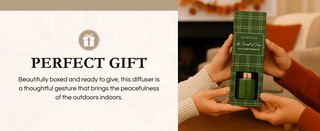 Aromatique The Smell of Tree Mini Reed Diffuser in green plaid gift box being exchanged as a gift.
