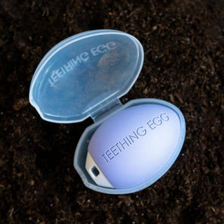 The Teething Egg Baby Goods The Teething Eggshell Protective Case