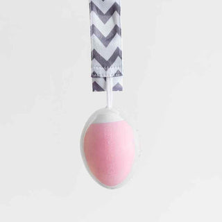 The Teething Egg Baby Goods The Teething Eggshell Protective Case