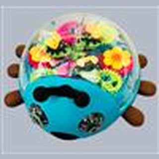 Toy Lady Bug With Transparent Gears