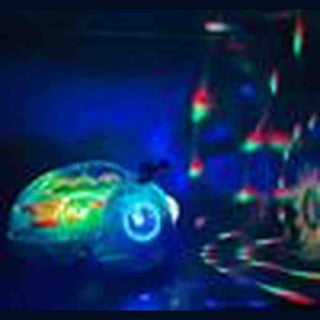 Toy LadyBug Lighting Up