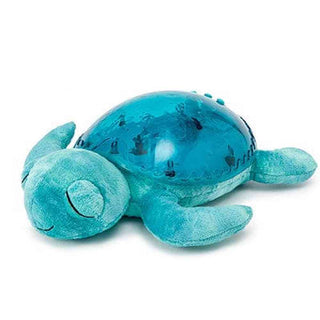 PJM Distribution Baby Goods Tranquil Turtle
