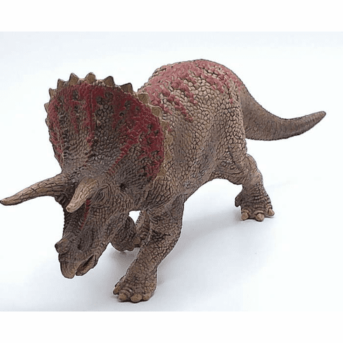 Triceratops