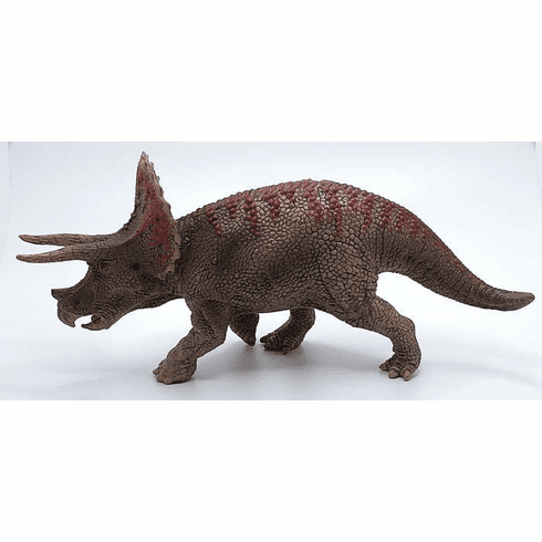 Triceratops