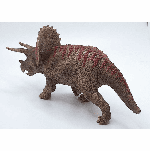 Triceratops