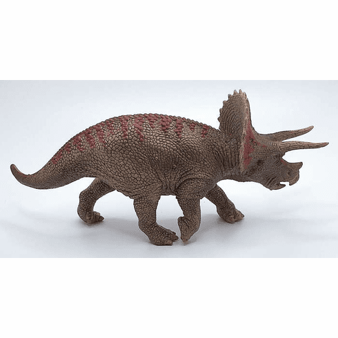 Triceratops