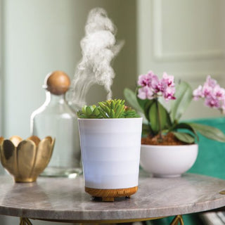 Candle Warmers ultrasonic essential oil diffuser styled as a potted succulent emitting mist on a marble table