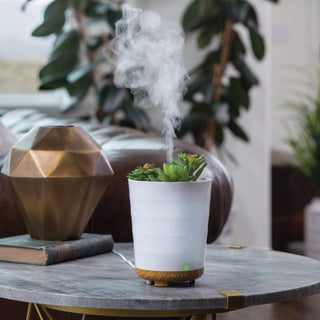 Candle Warmers ultrasonic essential oil diffuser styled as a white potted succulent emitting mist