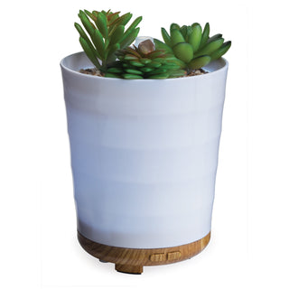 Candle Warmers ultrasonic essential oil diffuser styled as white ceramic succulent planter with wood base