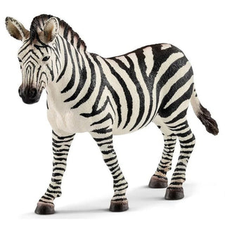 Zebra Female