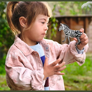 Zebra Female