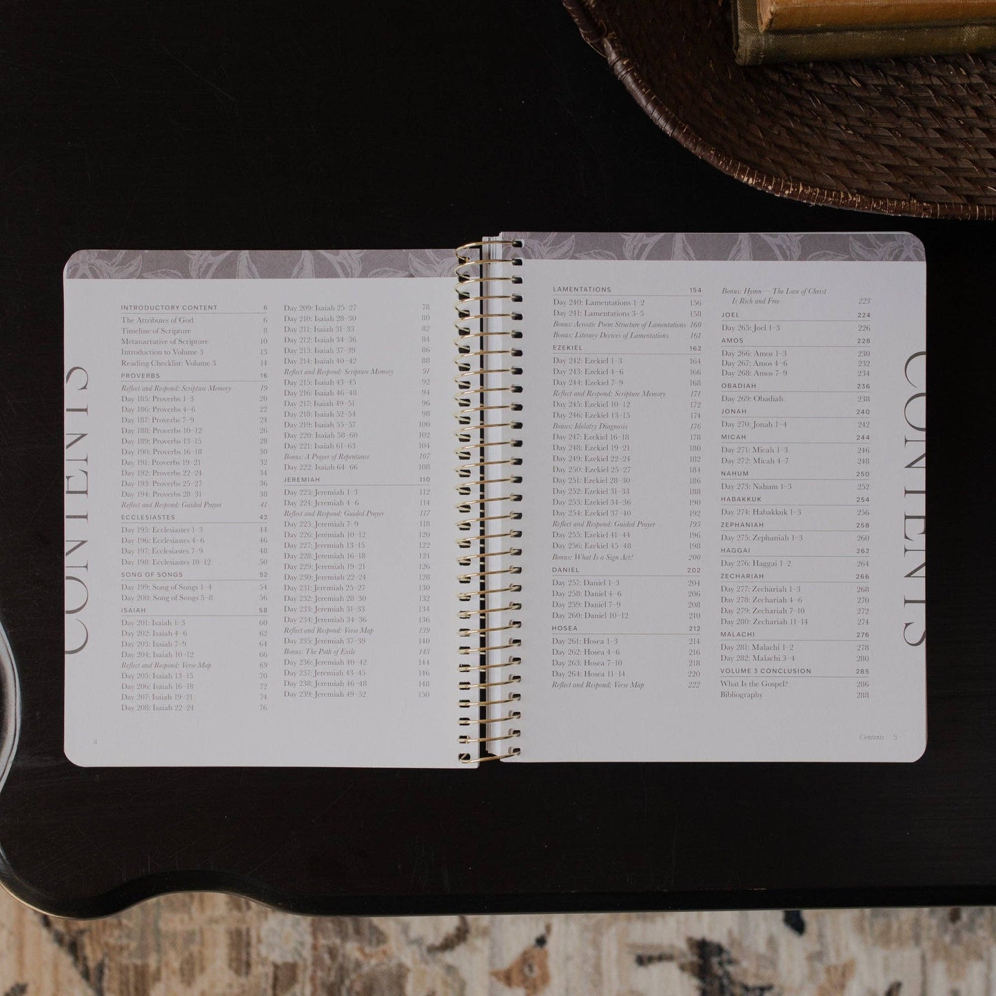 A Year in the Bible Vol. 3