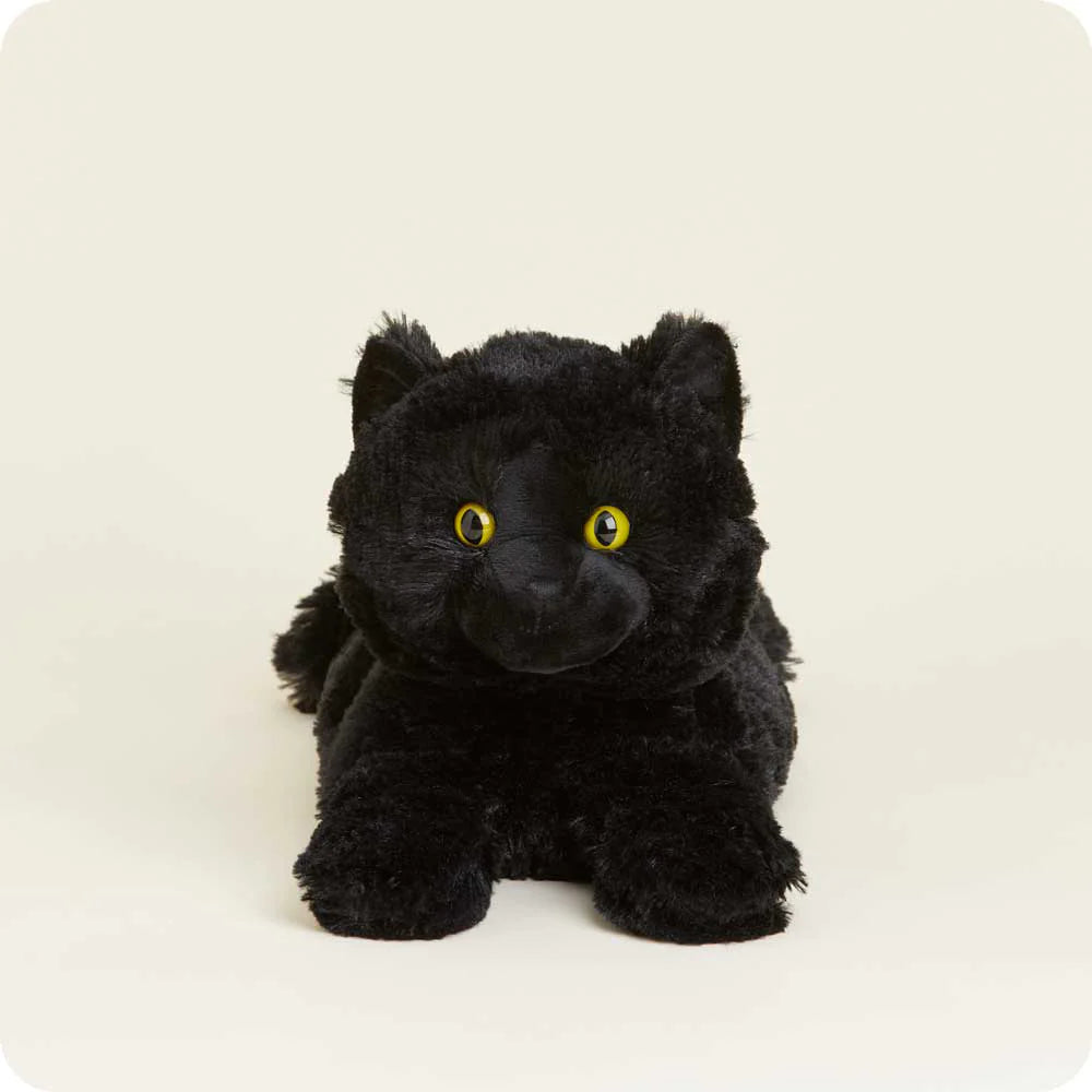 black cat warmie
