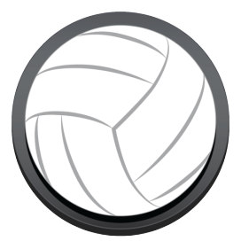 Bogg Bag Bags Volleyball Bogg Bit